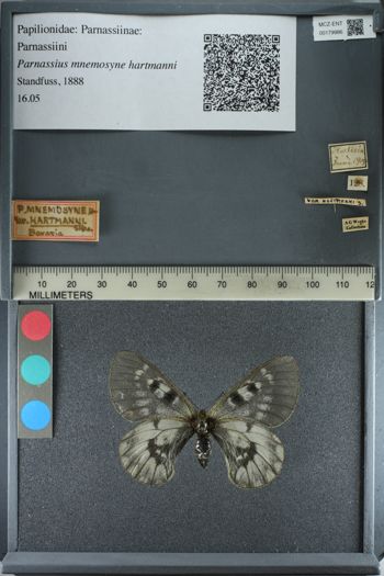 Media type: image;   Entomology 179986